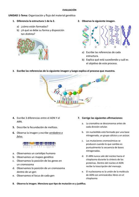 Evaluación genética 3