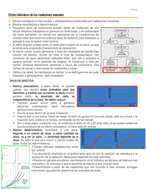 Efectos biológicos de las radiaciones ionizan