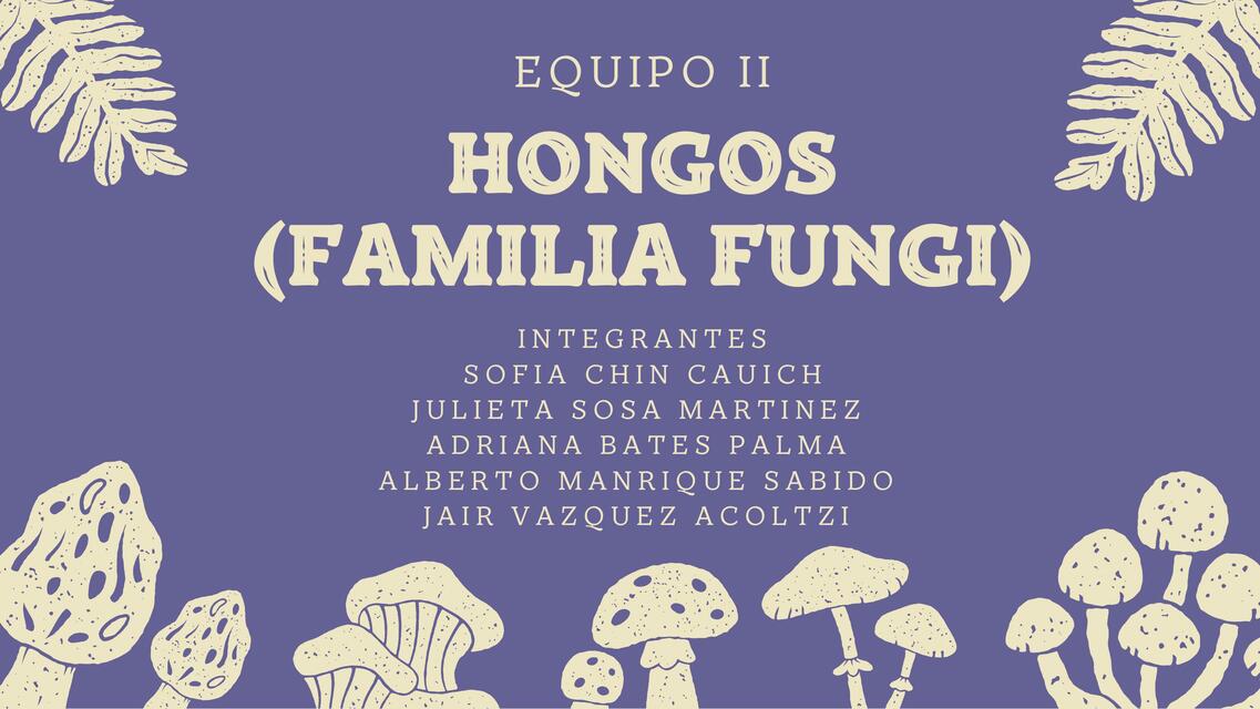 Hongos (Familia Fungi)