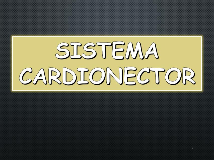 Sistema de conducción del corazón 