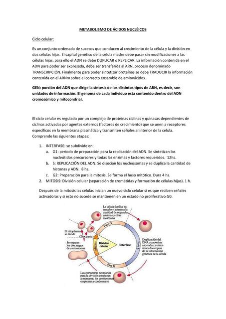 Replicación del ADN 