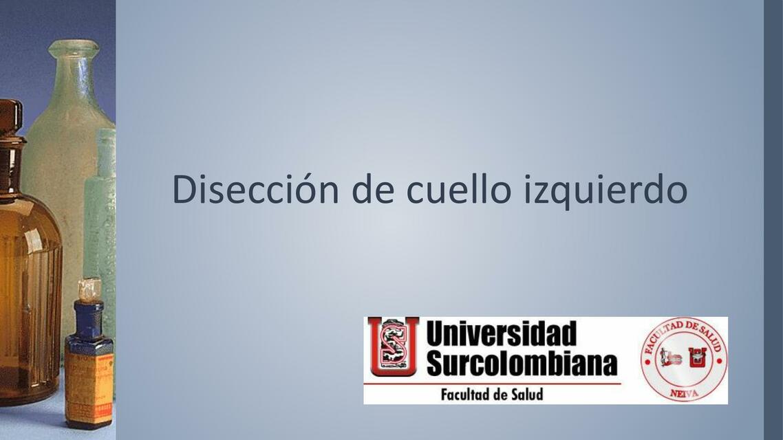 Disección de cuello izquierdo 