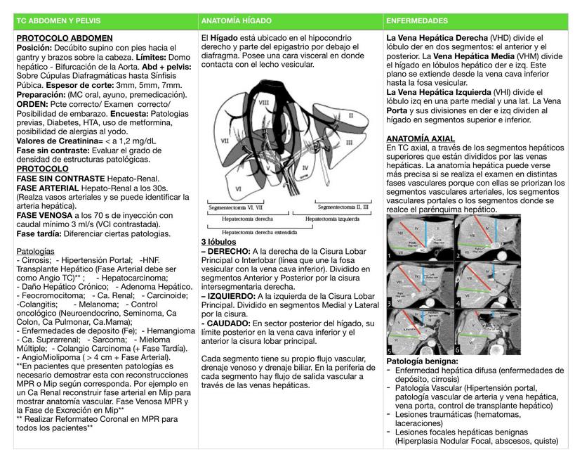 Abdomen y Pelvis 