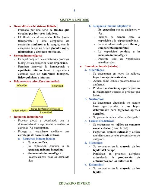 Sistema linfoide - Histología