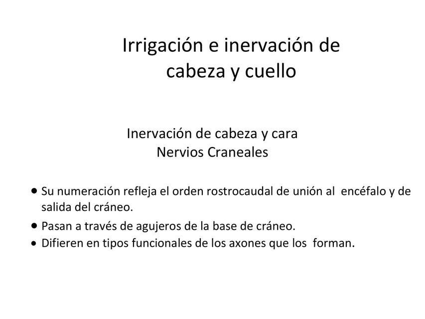 Irrigación e Inervación de Cabeza y Cuello 