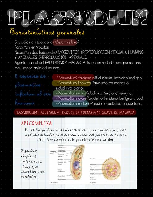 Microbiología de Plasmodium