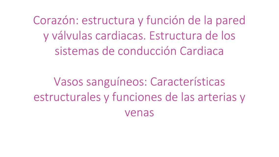 Corazón: Estructura y Función de la Pared y Válvulas Cardiacas. Estructura de los Sistemas de Conducción Cardiaca