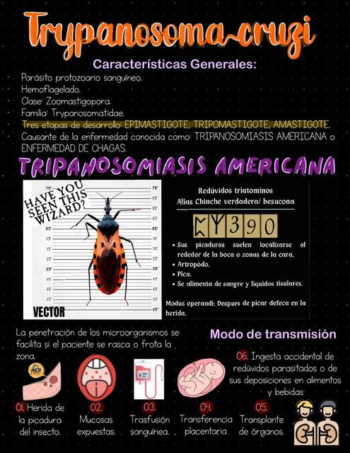 Microbiología de Trypanosoma Cruzi