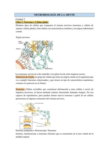 Neurobiología de la Mente 