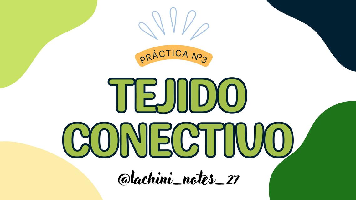 Tejido conectivo