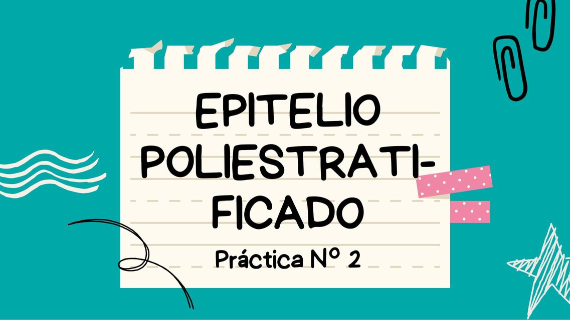 Epitelio poliestratificado  