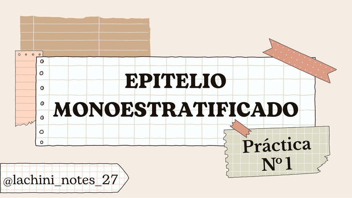 Epitelio monoestratificado