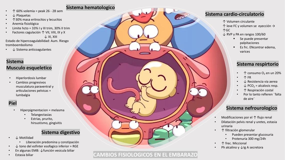 Sistema Hematológico 