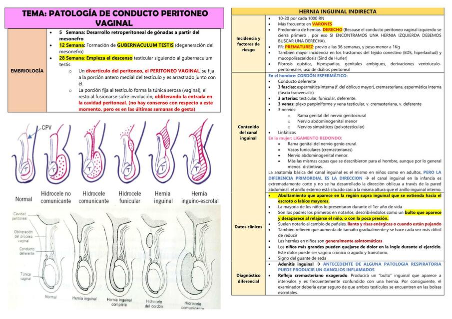 Patología de Conducto Peritoneo Vaginal 