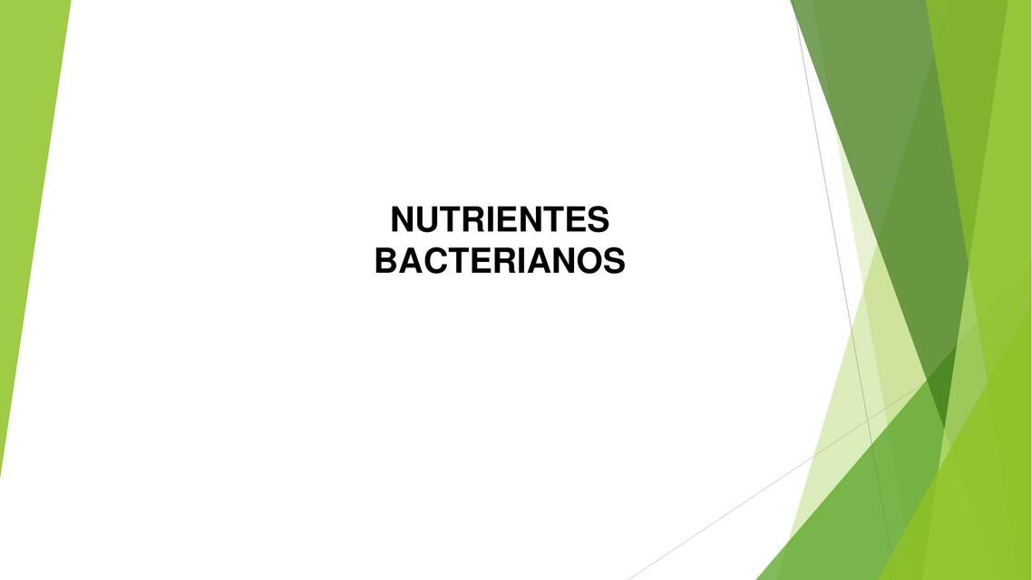 Nutrientes Bacterianos 