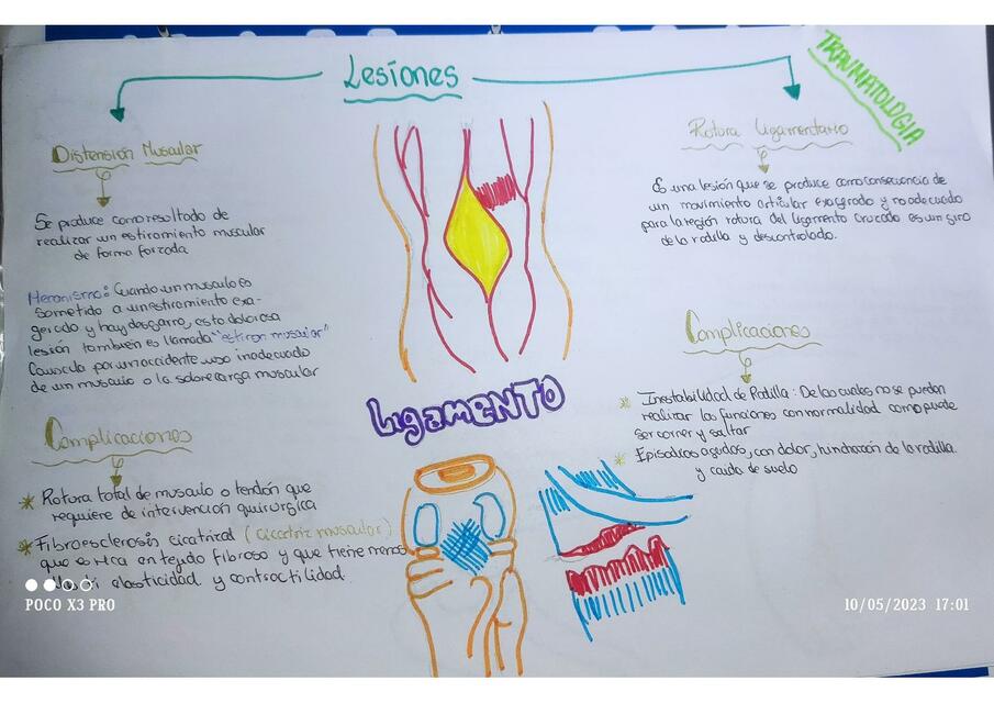 Lesiones