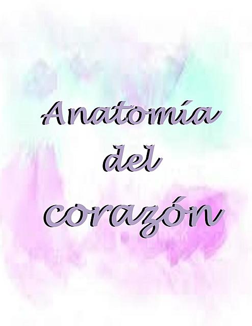 Anatomía del corazón 