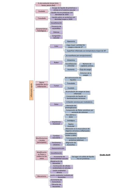 Inflamación Aguda y Crónica Esquema