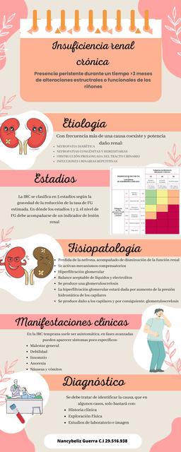 Insuficiencia renal crónica 