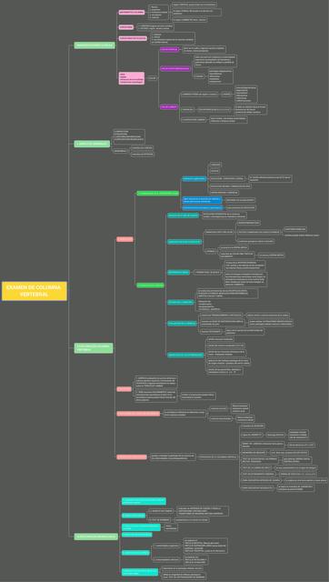 Examen de columna vertebral 