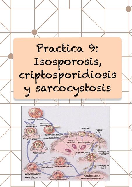 Isosporosis, Criptosporidiosis y Sarcocystosis