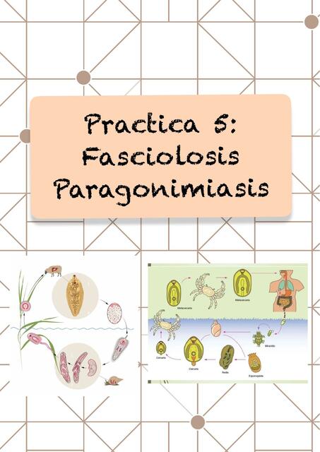 Fasciolosis Paragonimiasis