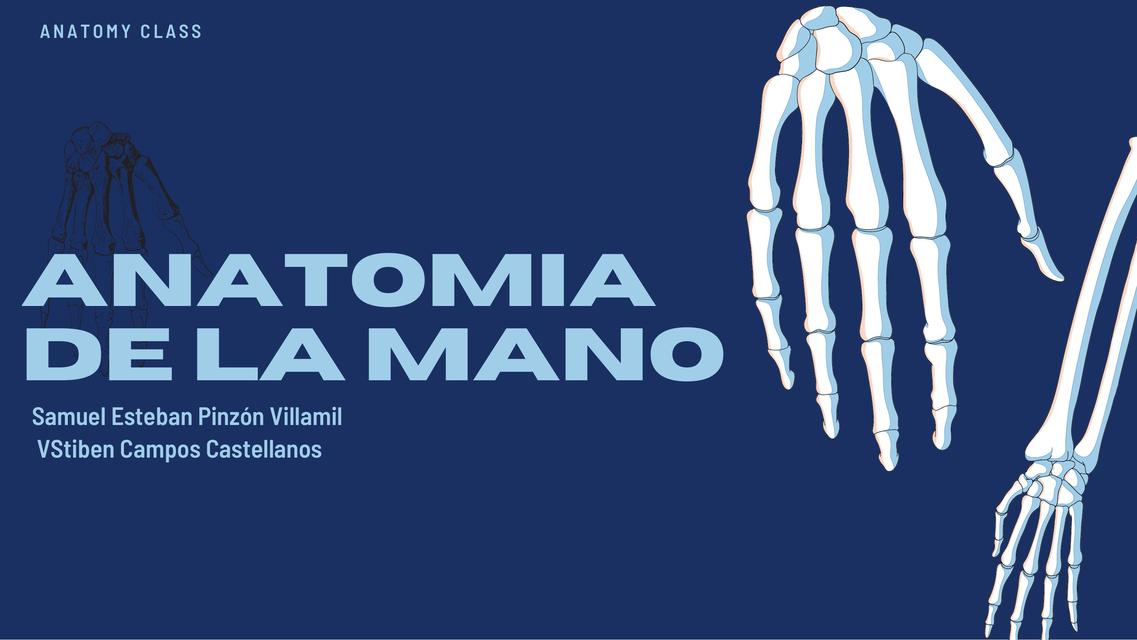 Anatomía de la mano | Stiben campos | uDocz