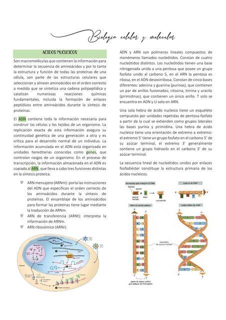 Biología Celular y Molecular