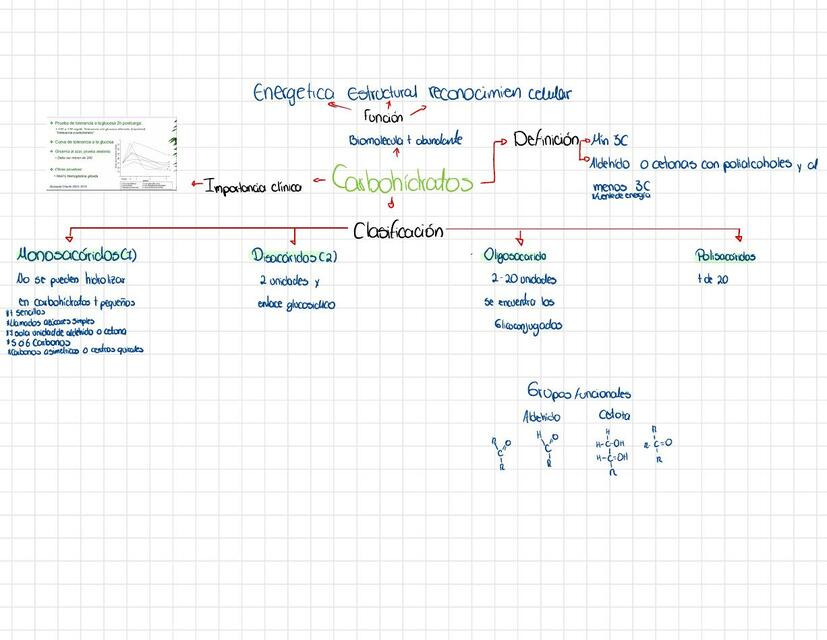Carbohídratos
