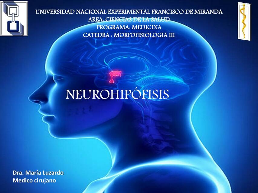 Neurohipófisis 