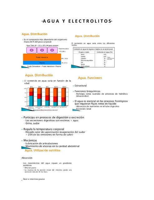 Agua y Electrolitos 