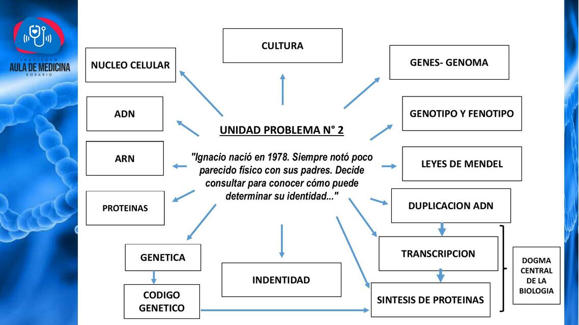 Mapa mental biología 