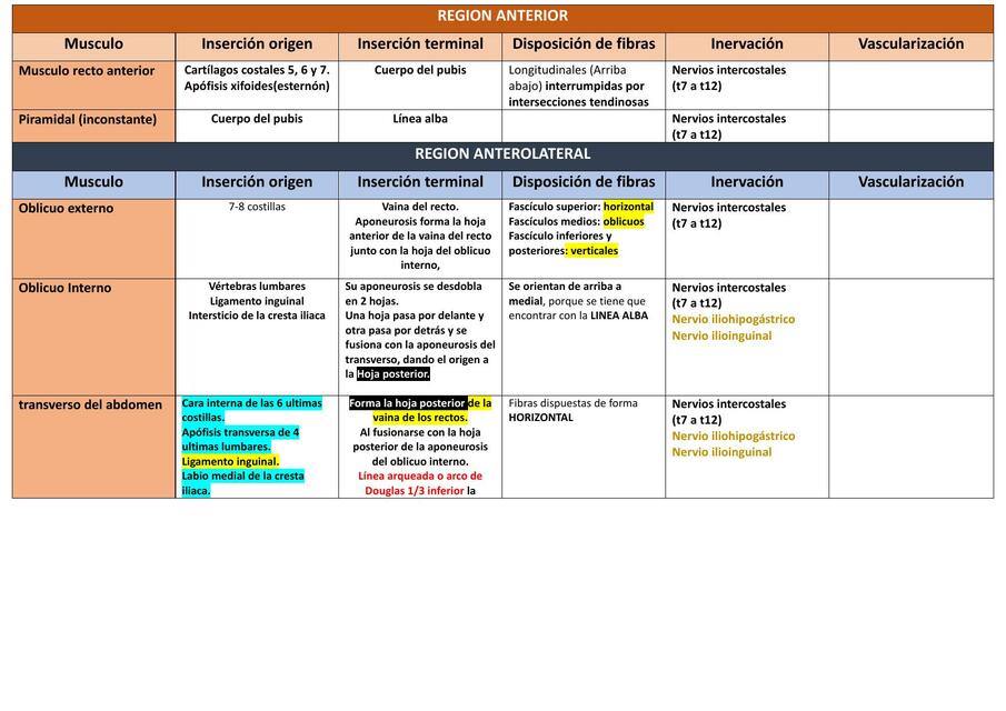 Región Anterior del Abdomen 