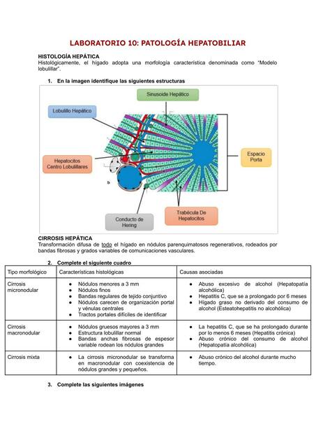 Patología Hepatobiliar 