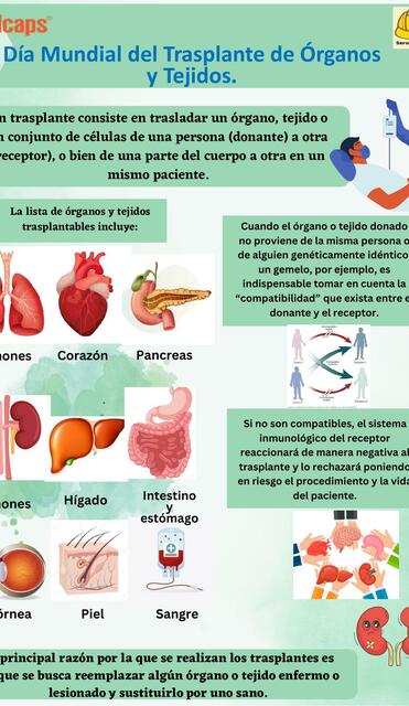 Día Mundial del Trasplante de Órganos y Tejidos 