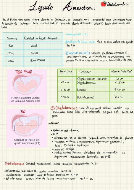 Líquido amniótico 