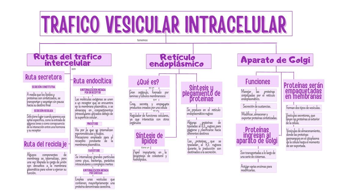 Tráfico Vesicular Intracelular 