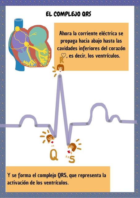 Complejo QRS