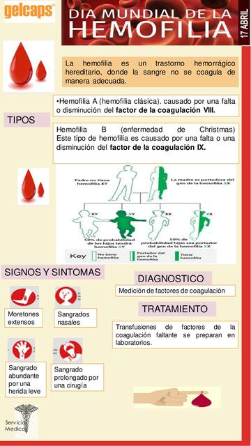 Dia Mundial contra la hemofilia 