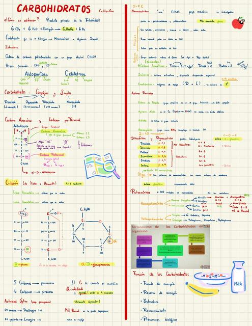 Química - carbohidratos