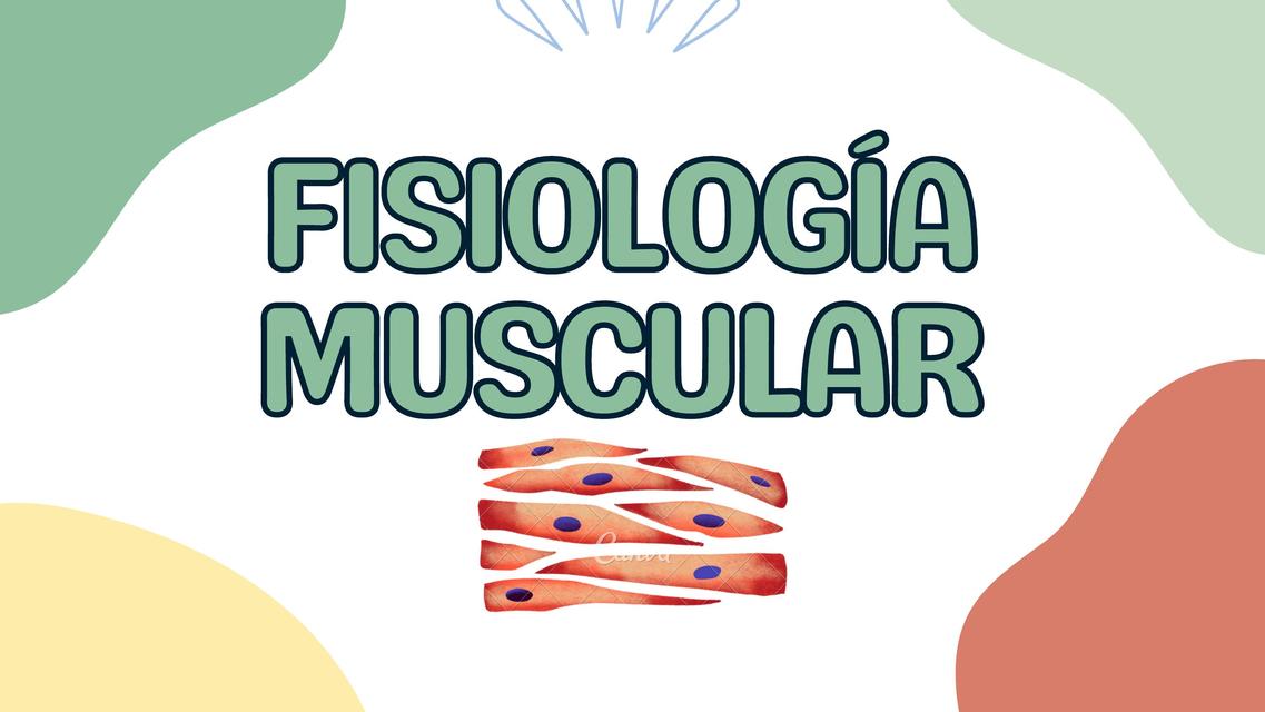 Fisiología Muscular 