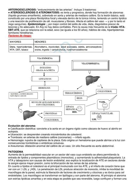 Arterioesclerosis 