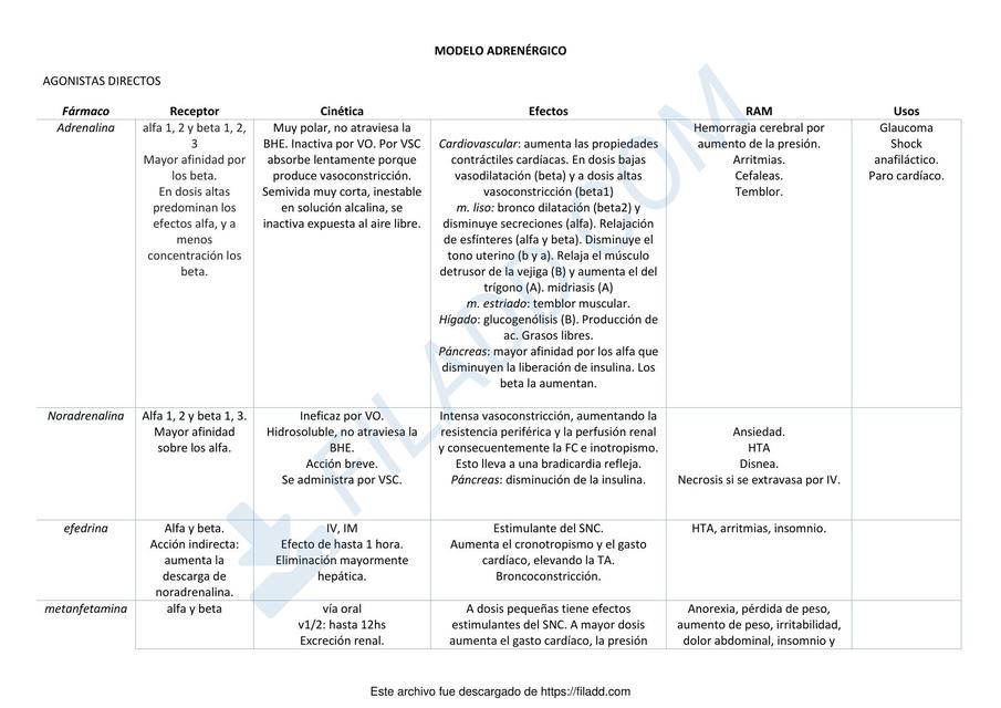 Modelo Adrenérgico  