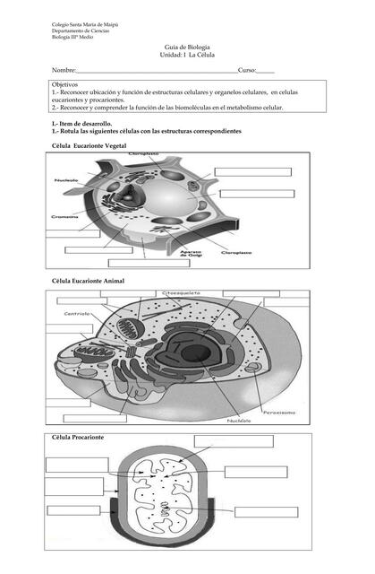 Guía Biología 3 La célula