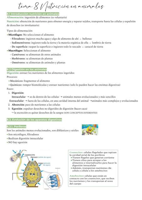 tema 8 - nutrición en animales 