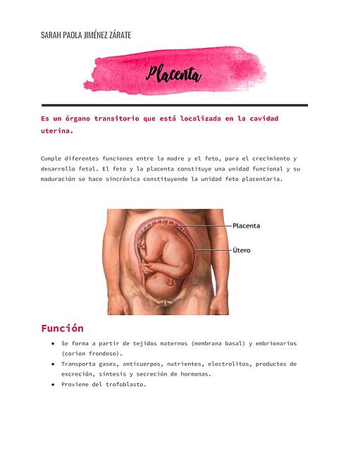 Placenta y anomalías