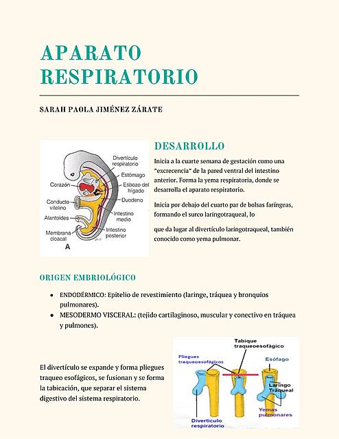 Aparato respiratorio