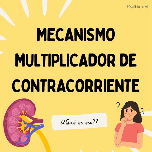 Mecanismo multiplicador de contracorriente