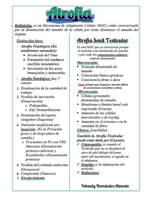 ATROFIA- Anatomia Patologica