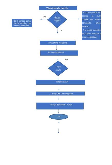 Técnicas de tinción 